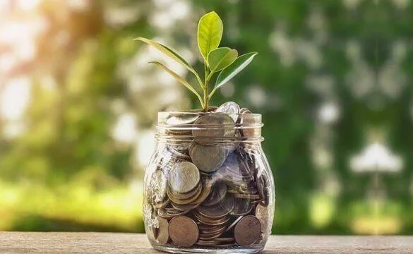 Daily Deposits at BSL Nidhi