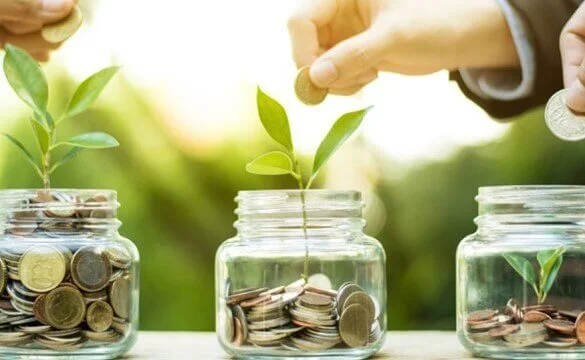 Monthly Income Scheme at BSL Nidhi